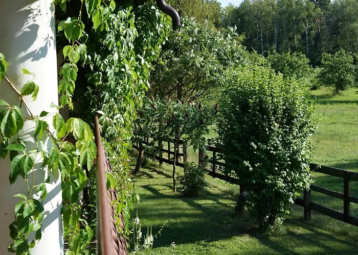 Gospodarstwo agroturystyczne Biebrzanska Goscina