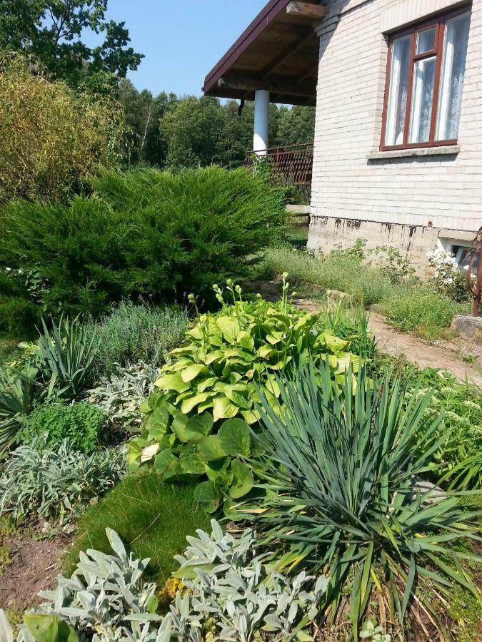 Gospodarstwo agroturystyczne Biebrzanska Goscina