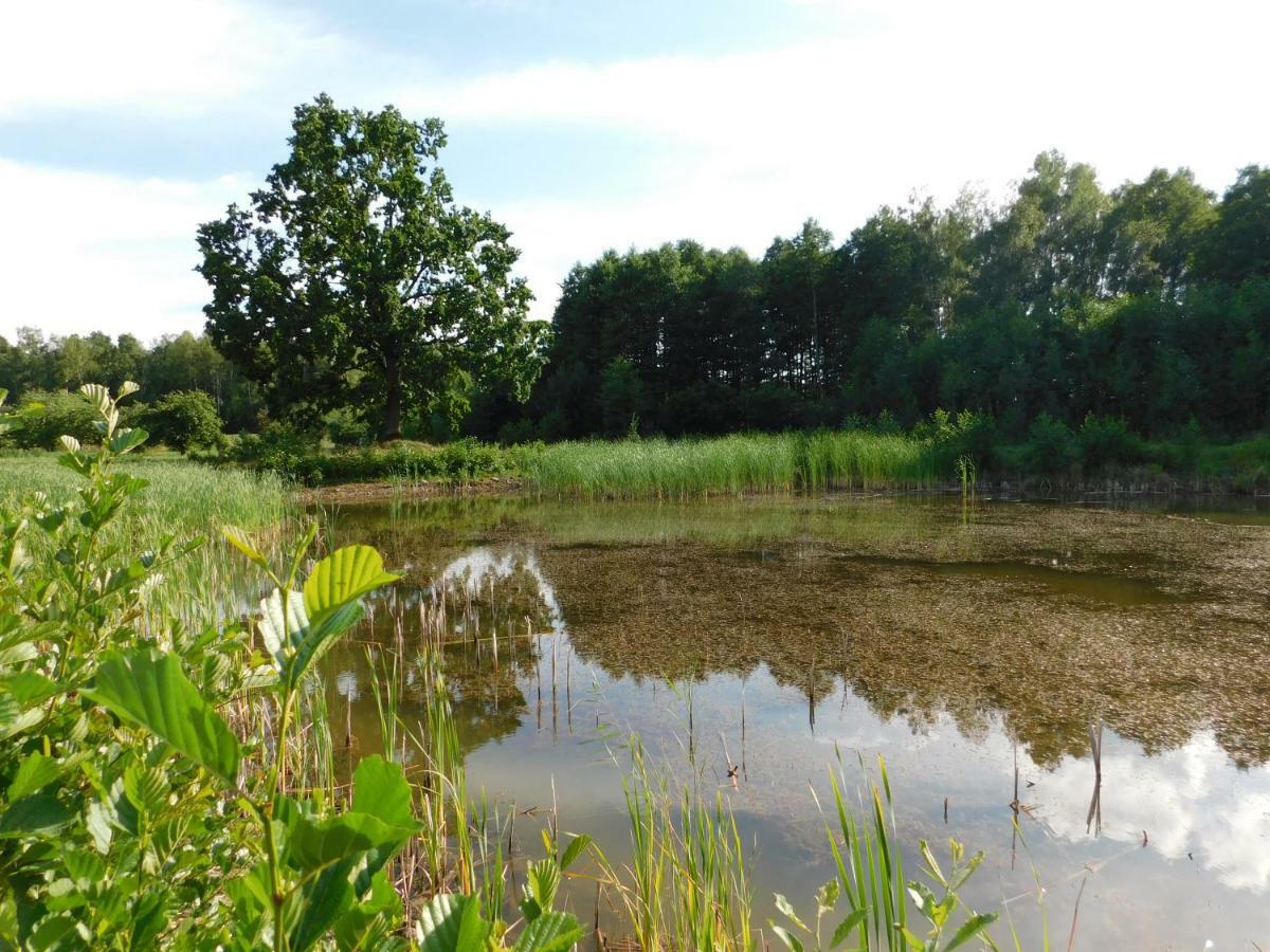 Gospodarstwo agroturystyczne Biebrzanska Goscina *